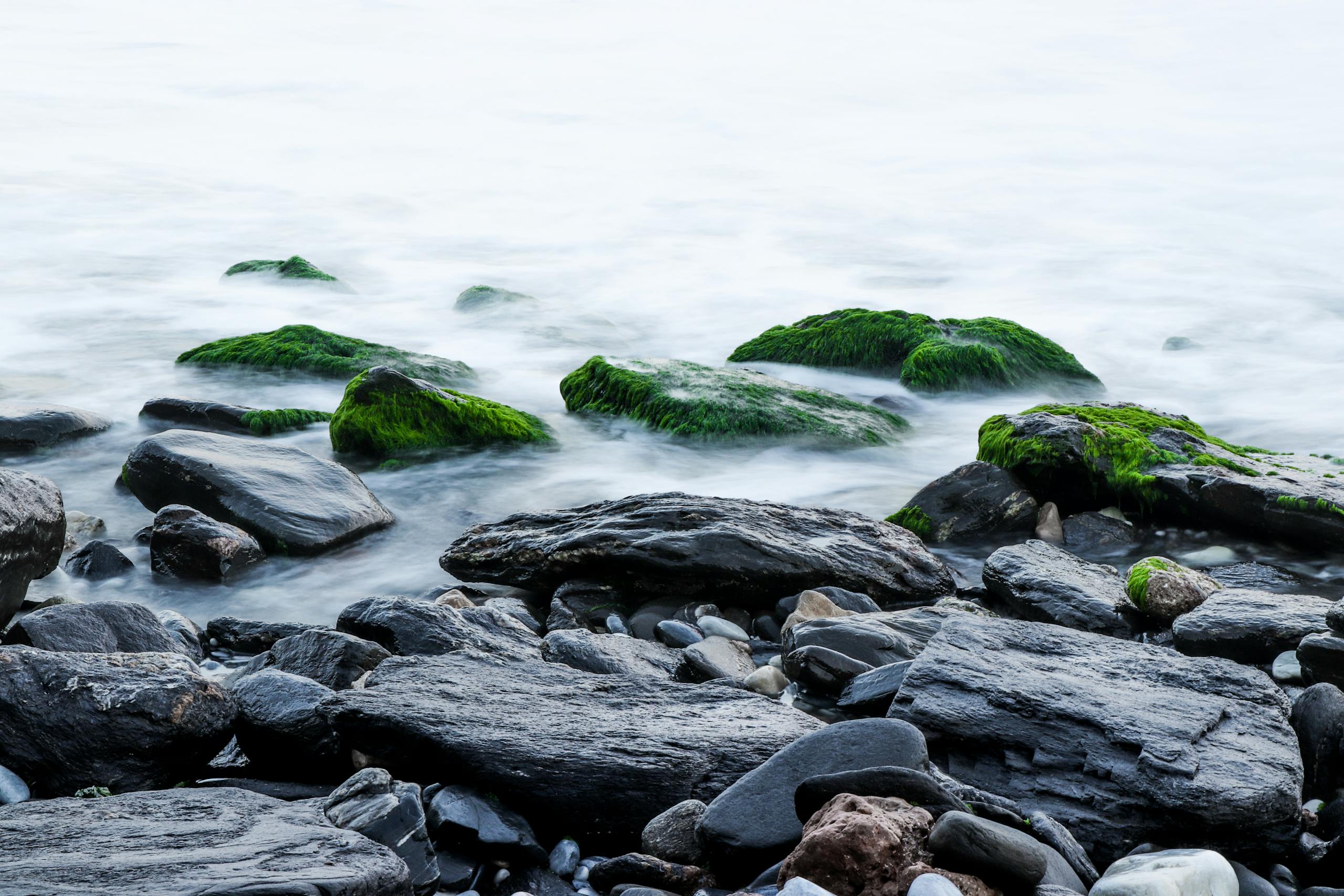 Tranquil coastal scene featuring moss-covered rocks and gentle water flow.