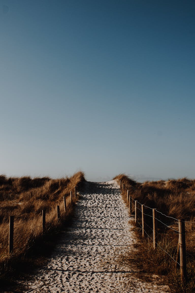 A serene sandy path leading over dunes under a clear blue sky, perfect for relaxation.